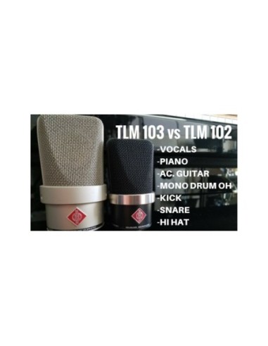 Neumann TLM 102 Madrid