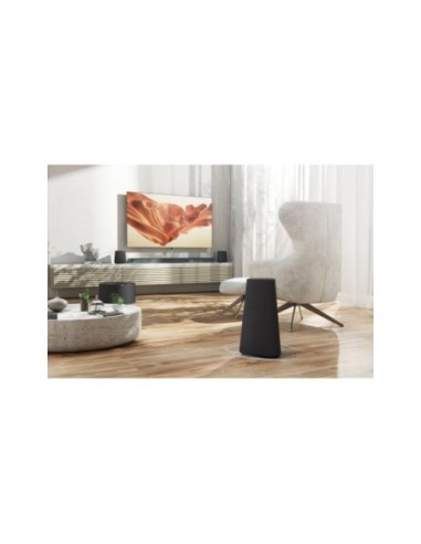 Loewe MR3