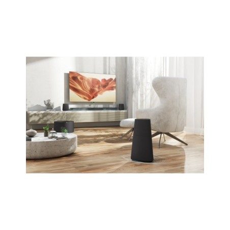 Loewe MR3